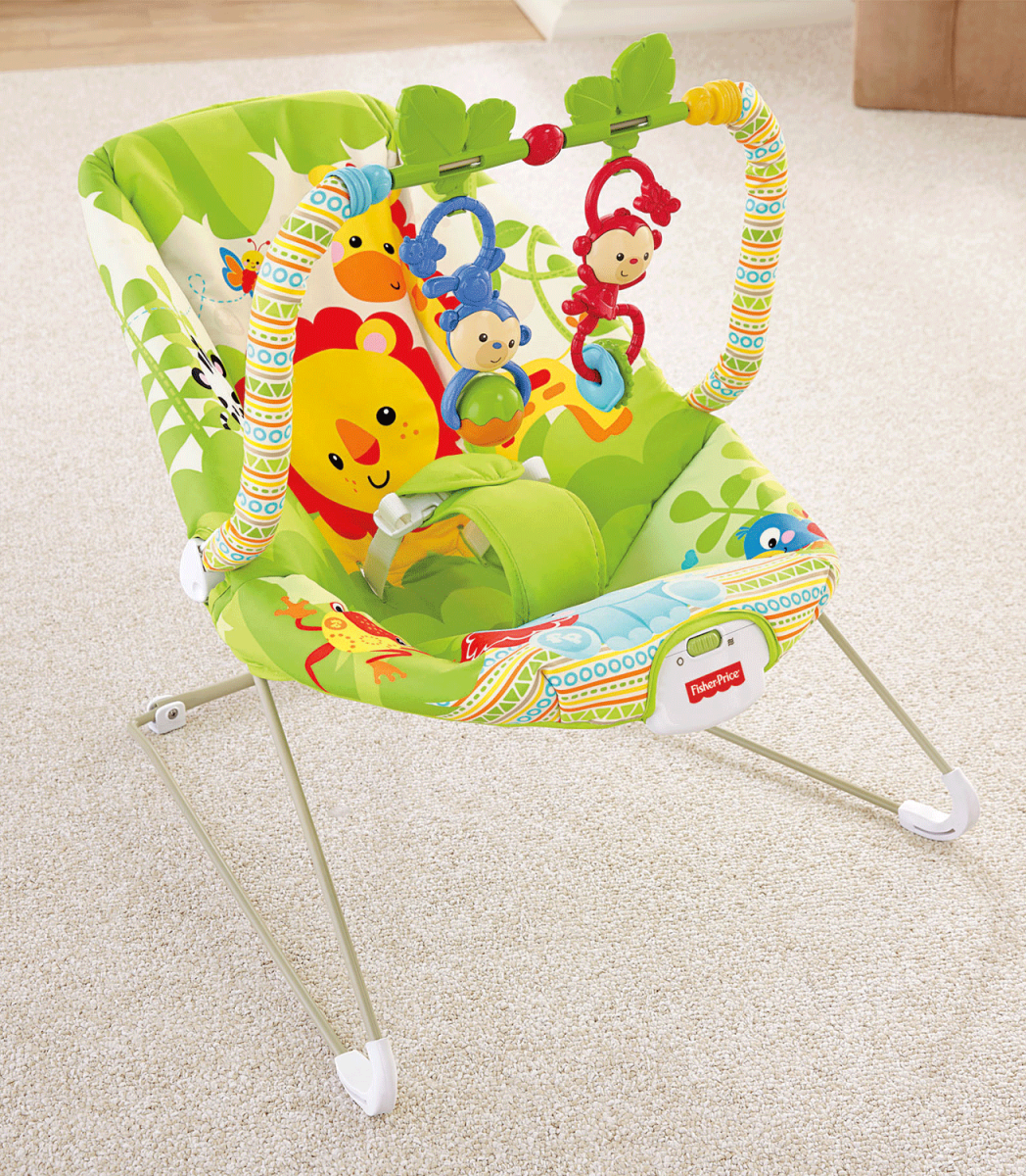 Rainforest chair fisher sales price