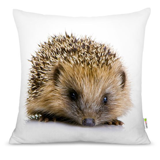 Pillow HEDGEHOG