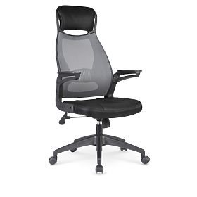 Student chair Solaris, Halmar